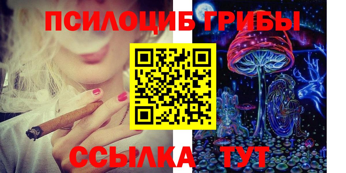 Псилоцибиновые грибы мицелий Ишимбай