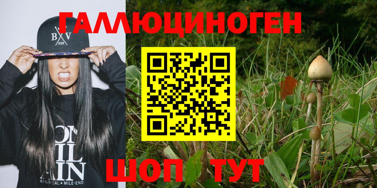 Псилоцибиновые грибы мицелий  Псилоцибиновые грибы мухоморы  Ишимбай  Вход с VPN 